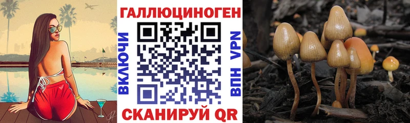 Галлюциногенные грибы Magic Shrooms  Купить закладки  Старая Русса 